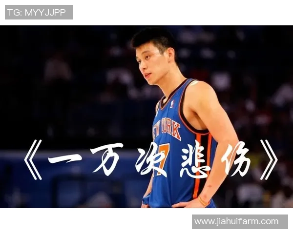 深度对话刘强谈篮球人生的成长与挑战与梦想的追求