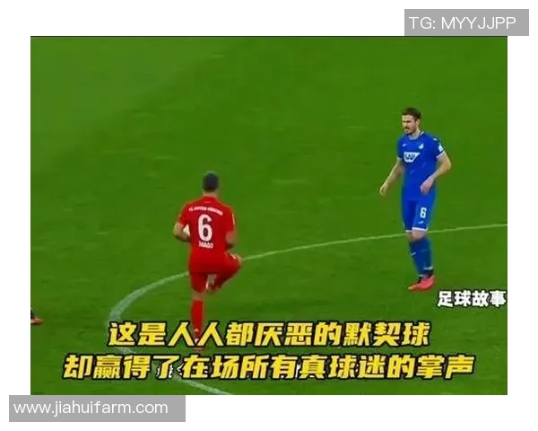 重庆排球队配合问题引发热议球迷对战术和默契的不同看法